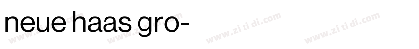 neue haas gro字体转换 neue haas gro字体转换